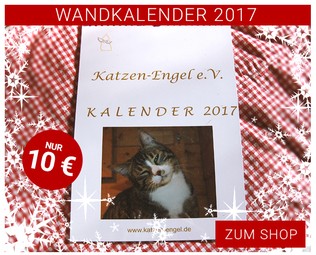 Katzen-Engel Wandkalender 2017