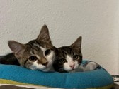 91906f96-2e4b-4b8c-9879-2fb886e6e946 (1).jpeg
