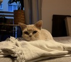 IMG_2431.jpg